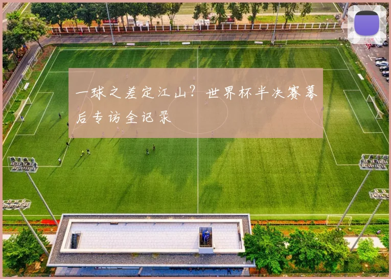 一球之差定江山？世界杯半决赛幕后专访全记录