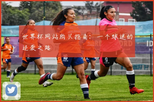 世界杯网站购买指南：一个球迷的逆袭之路