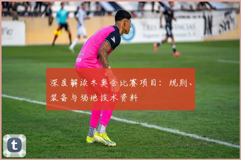 深度解读冬奥会比赛项目：规则、装备与场地技术资料
