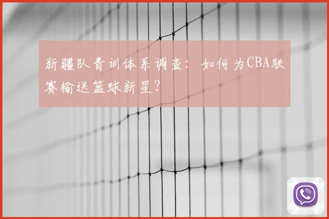 新疆队青训体系调查：如何为CBA联赛输送篮球新星？