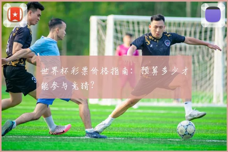 世界杯彩票价格指南:预算多少才能参与竞猜?