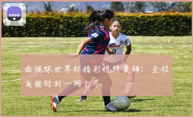 曲棍球世界杯精彩视频集锦：全程高能时刻一网打尽