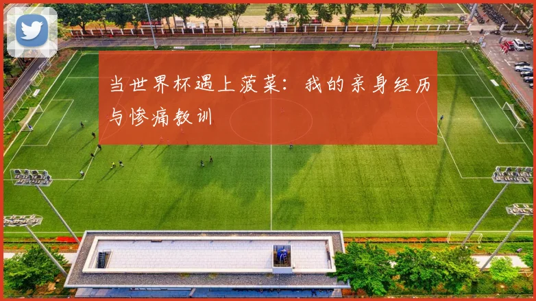 当世界杯遇上菠菜:我的亲身经历与惨痛教训