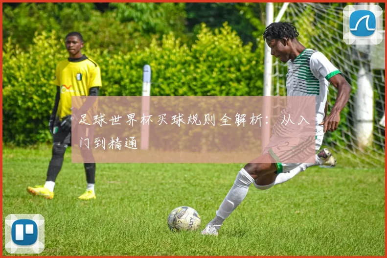 足球世界杯买球规则全解析：从入门到精通