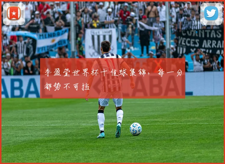 李盈莹世界杯十佳球集锦，每一分都势不可挡
