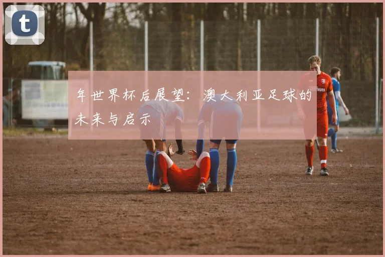 年世界杯后展望:澳大利亚足球的未来与启示