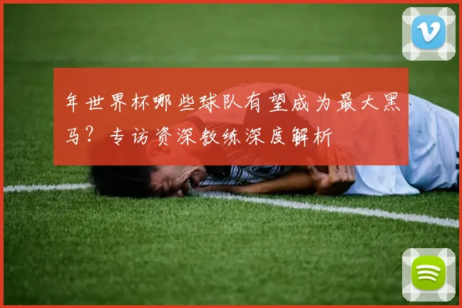 年世界杯哪些球队有望成为最大黑马?专访资深教练深度解析