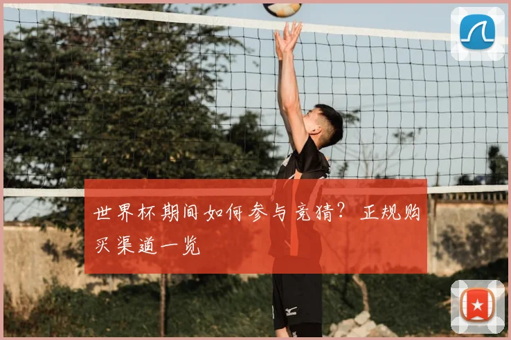 世界杯期间如何参与竞猜？正规购买渠道一览