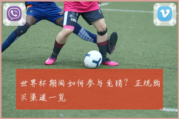世界杯期间如何参与竞猜？正规购买渠道一览