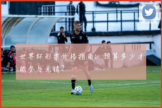 世界杯彩票价格指南：预算多少才能参与竞猜？