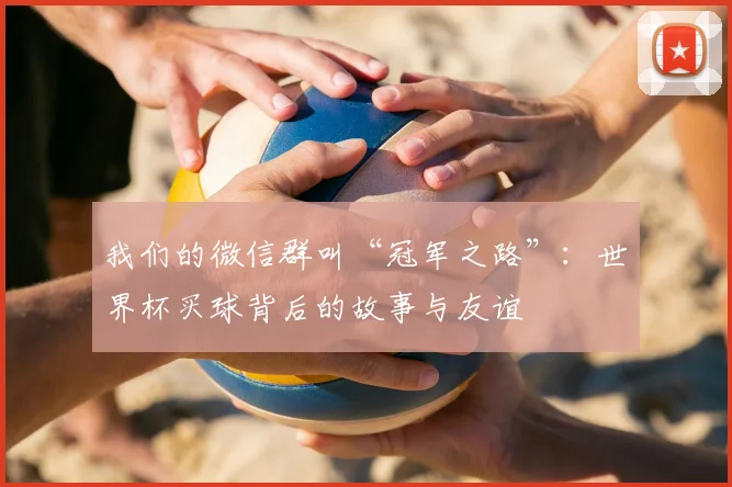 我们的微信群叫“冠军之路”：世界杯买球背后的故事与友谊